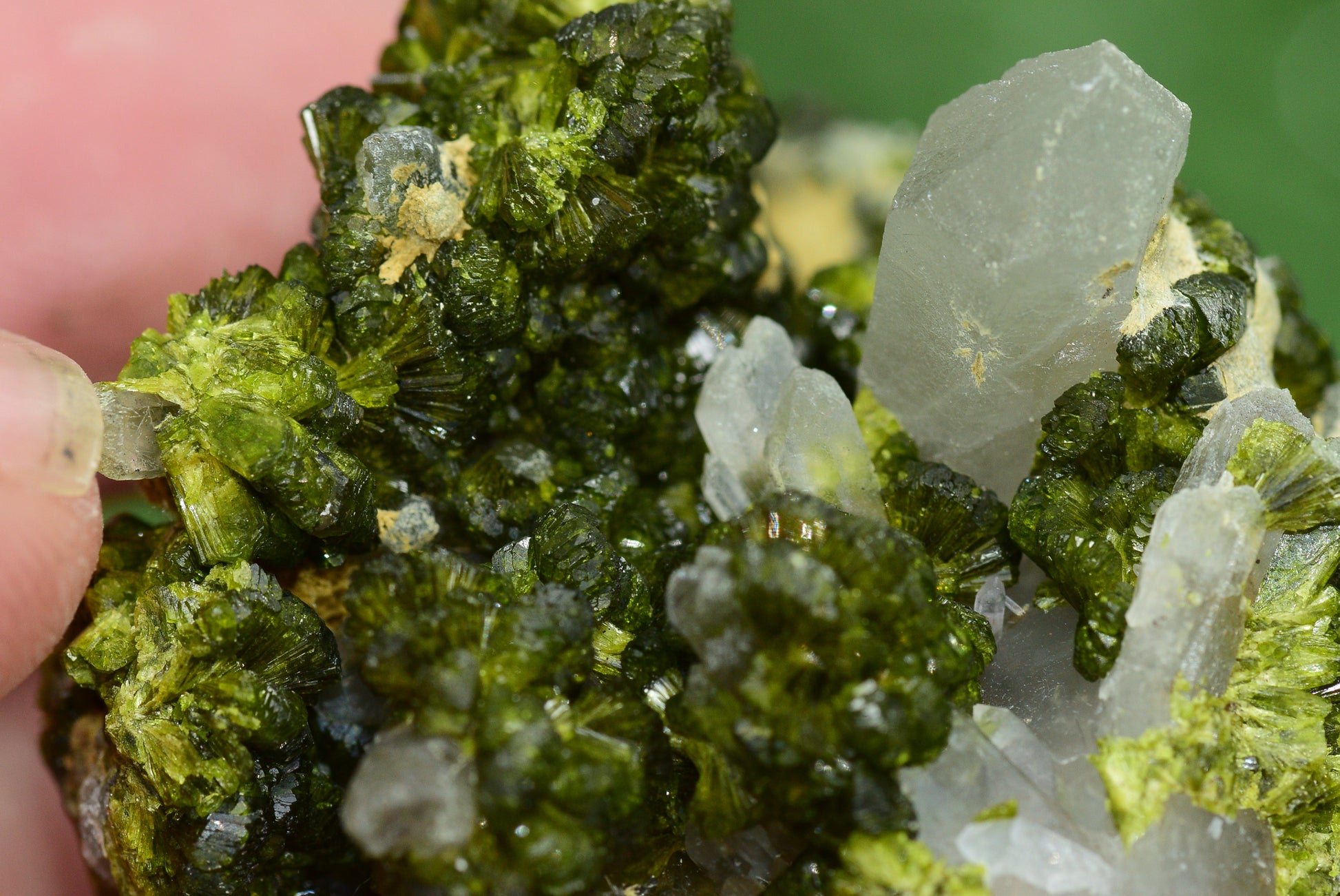 Stunning Epidote in Quartz Cluster from Imilchil, Morocco - A Unique Piece - MeteoriteNwa.com