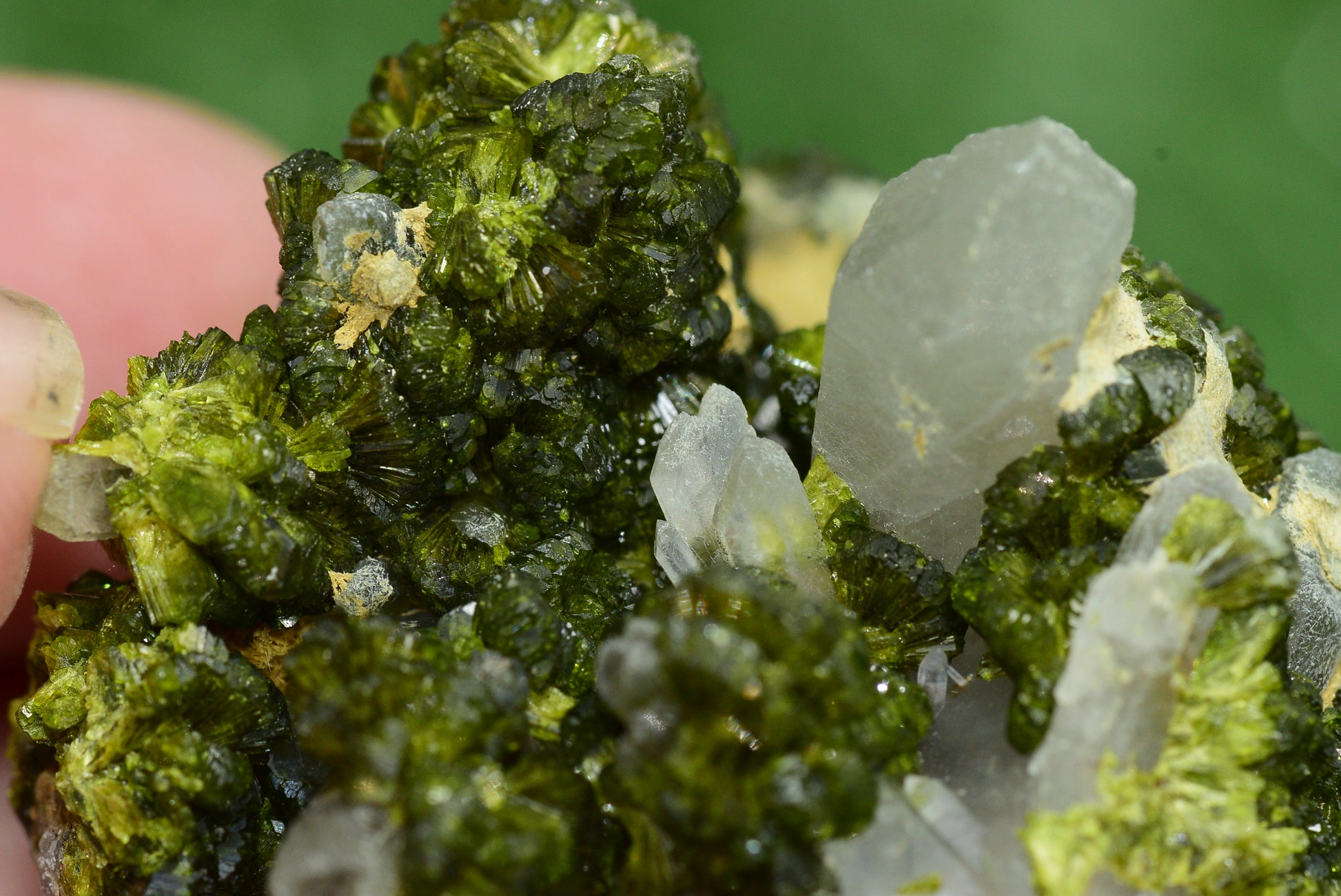 Stunning Epidote in Quartz Cluster from Imilchil, Morocco - A Unique Piece - MeteoriteNwa.com