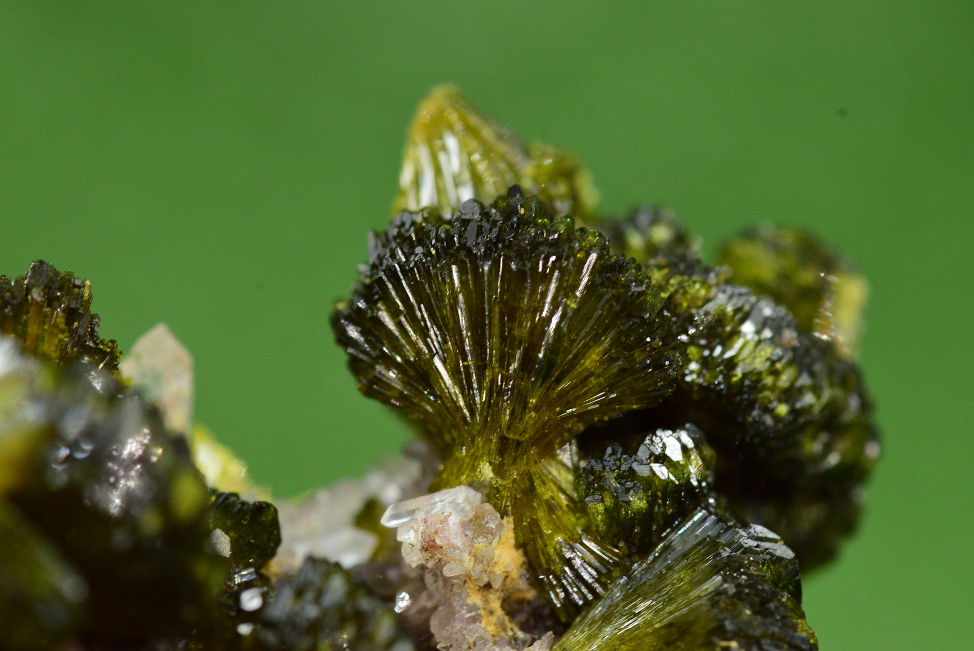 Stunning Epidote in Quartz Cluster from Imilchil, Morocco - A Unique Piece - MeteoriteNwa.com