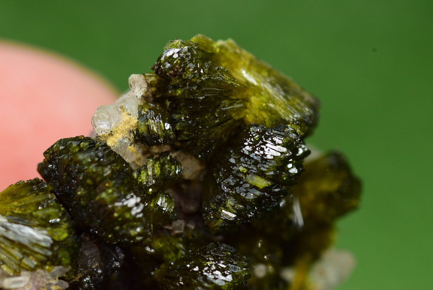 Stunning Epidote in Quartz Cluster from Imilchil, Morocco - A Unique Piece - MeteoriteNwa.com