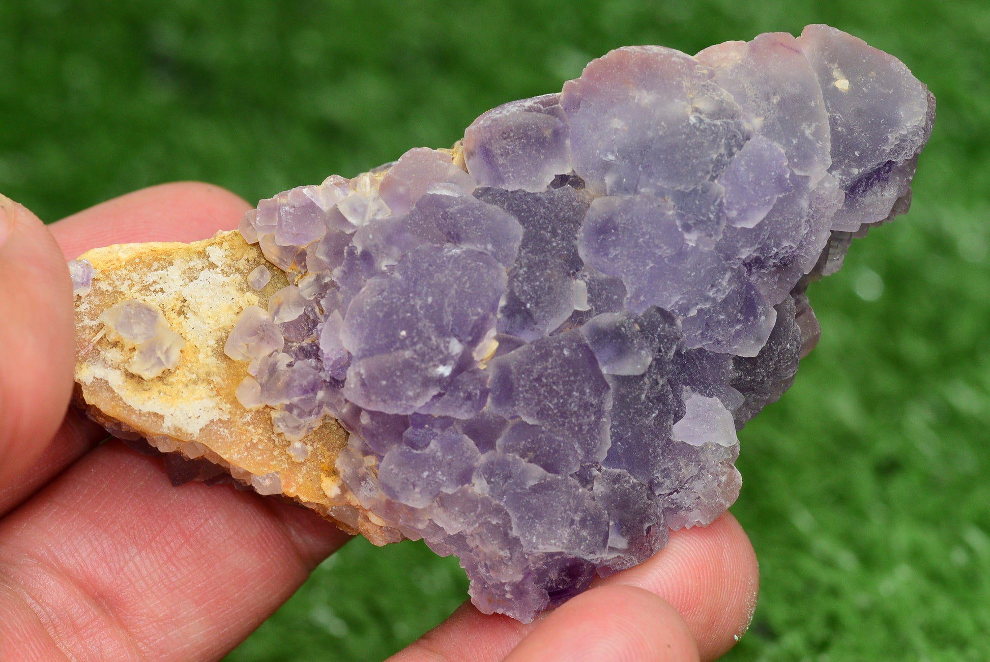 Stunning Fluorite Specimen from El Hammam Mine, Morocco Perfect for Crystal Collectors - MeteoriteNwa.com