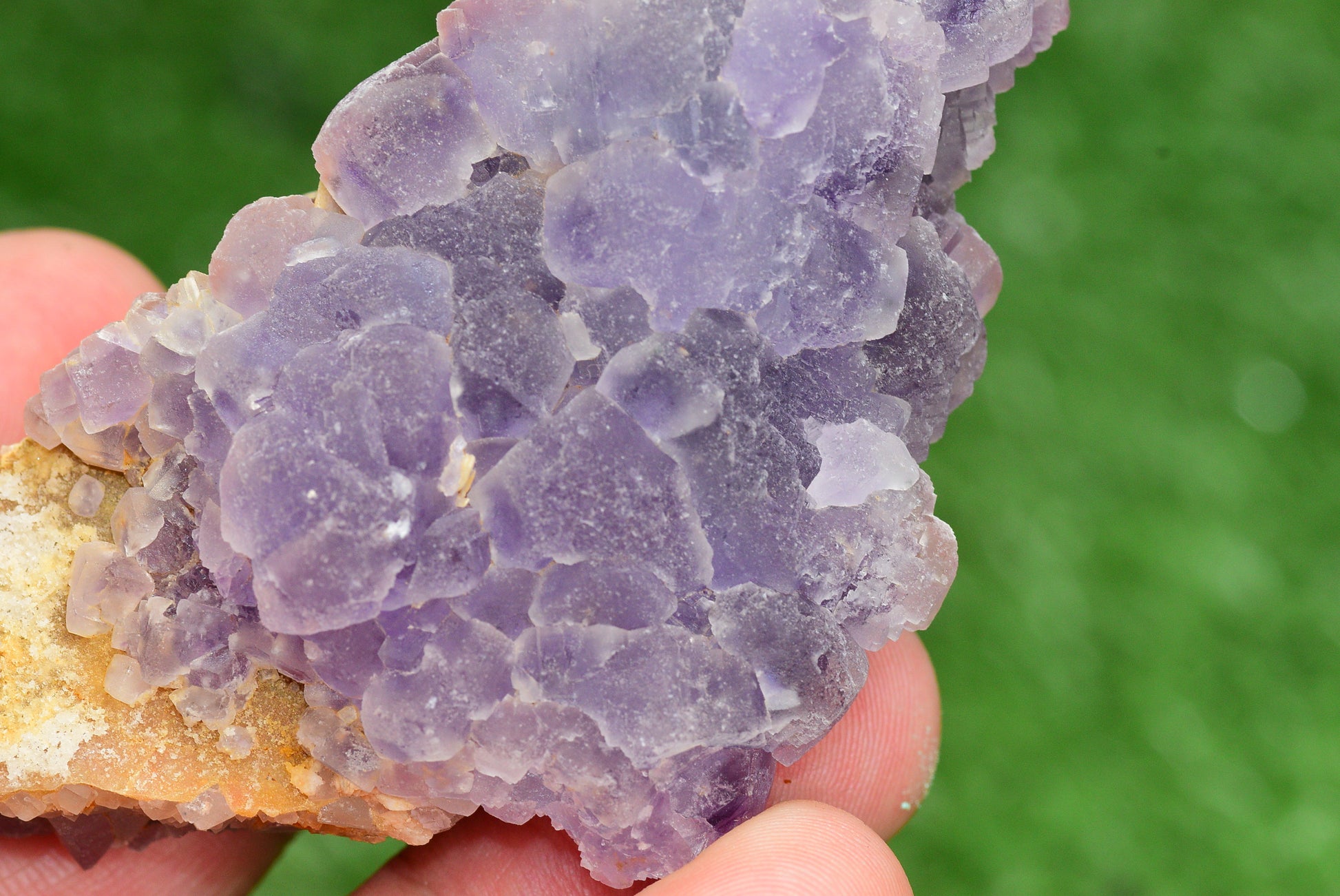 Stunning Fluorite Specimen from El Hammam Mine, Morocco Perfect for Crystal Collectors - MeteoriteNwa.com