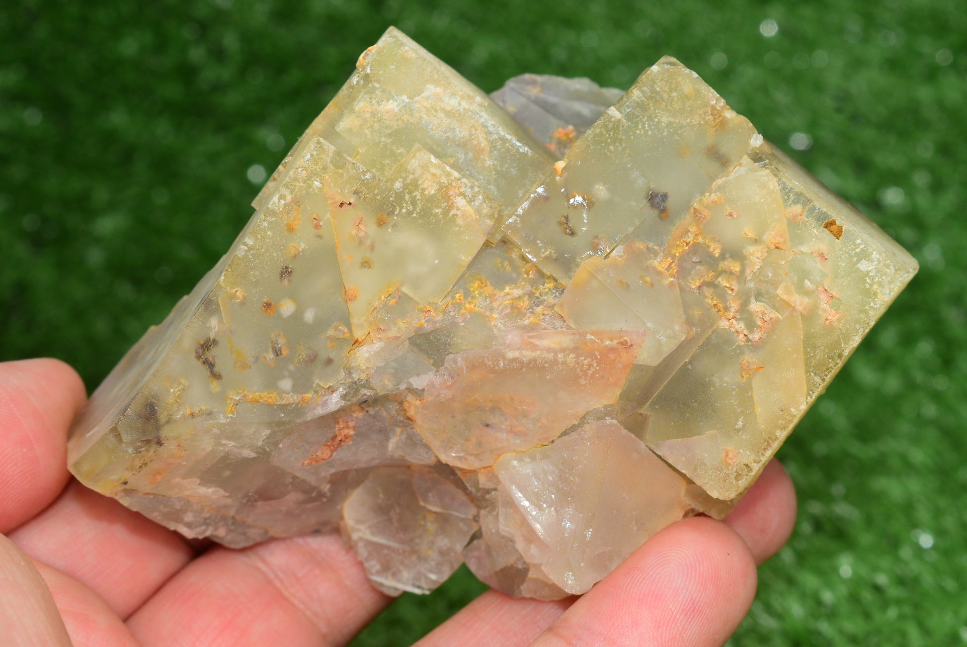 Stunning Fluorite Specimen from El Hammam Mine, Morocco Perfect for Crystal Collectors - MeteoriteNwa.com