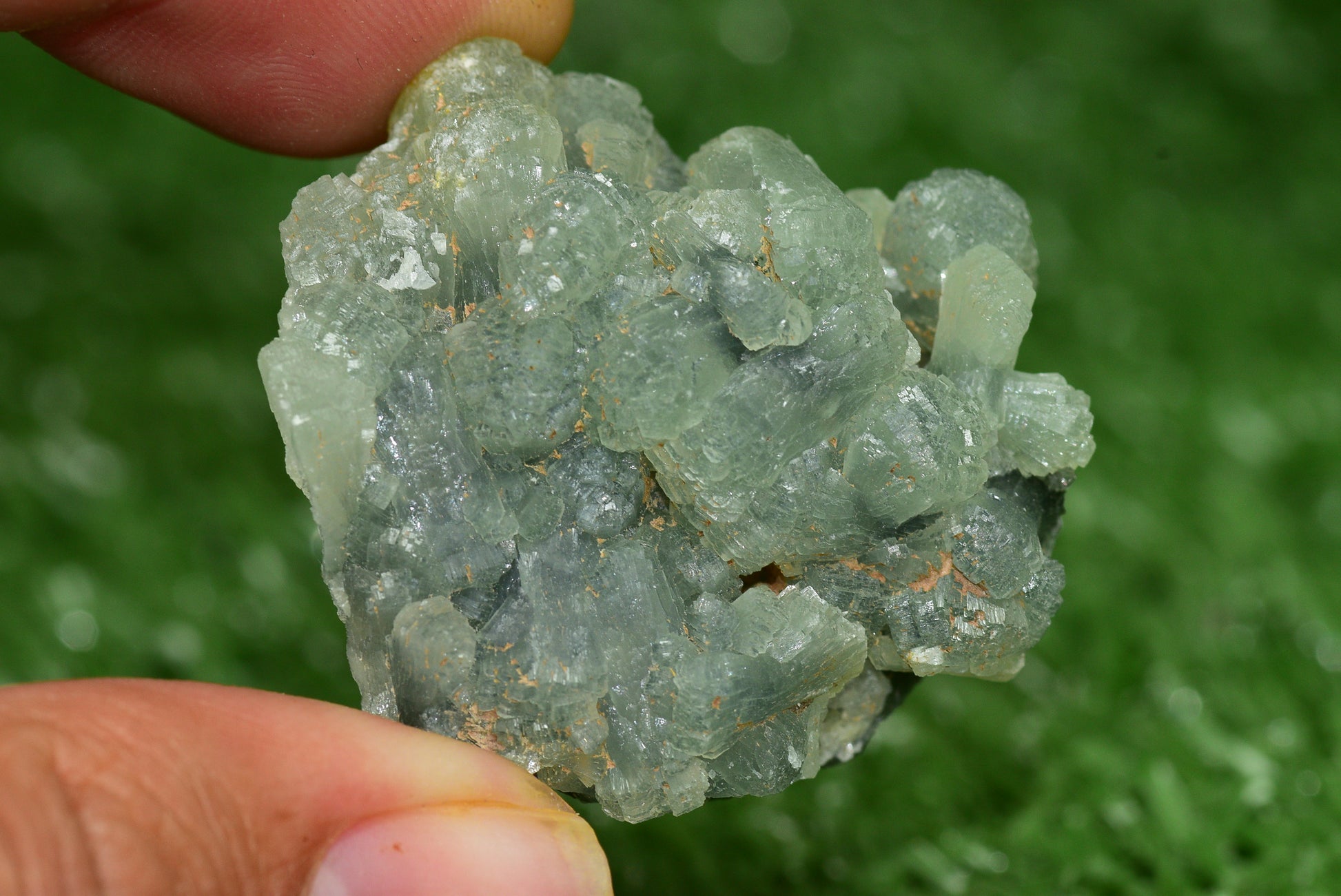 Stunning Raw Prehnite Crystal Cluster from Morocco Unique Botryoidal Formations - MeteoriteNwa.com