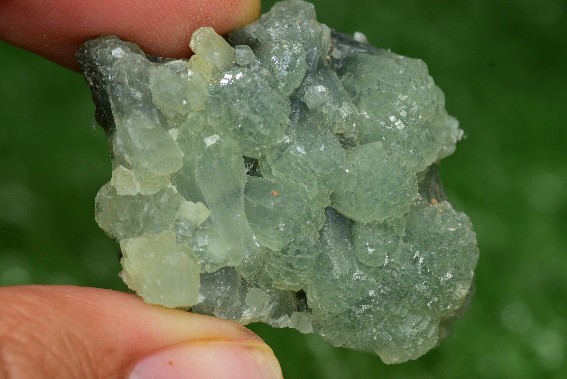 Stunning Raw Prehnite Crystal Cluster from Morocco Unique Botryoidal Formations - MeteoriteNwa.com