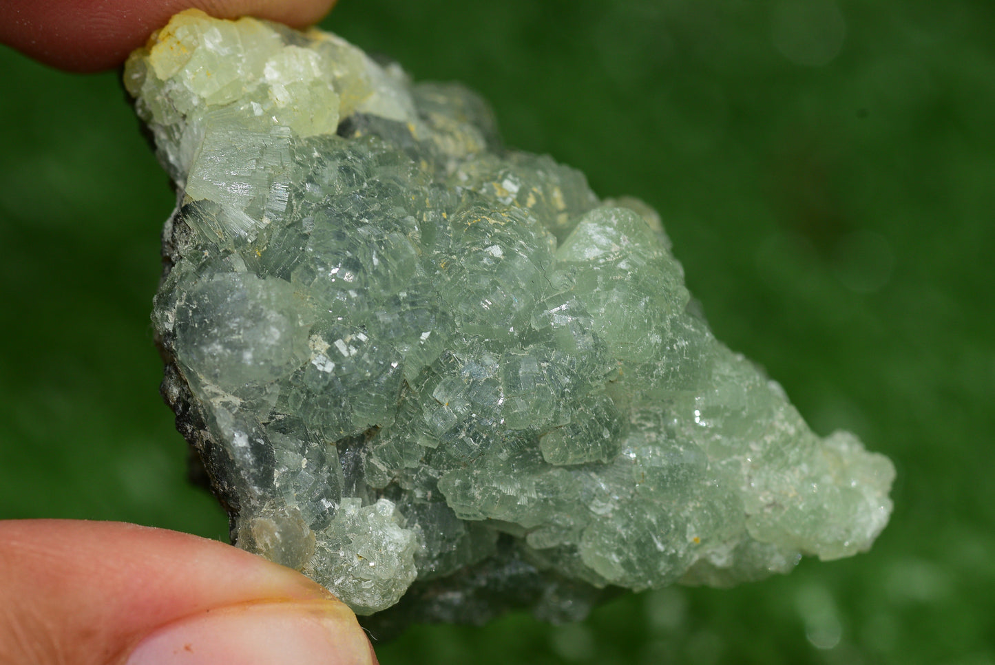 Stunning Raw Prehnite Crystal Cluster from Morocco Unique Botryoidal Formations - MeteoriteNwa.com