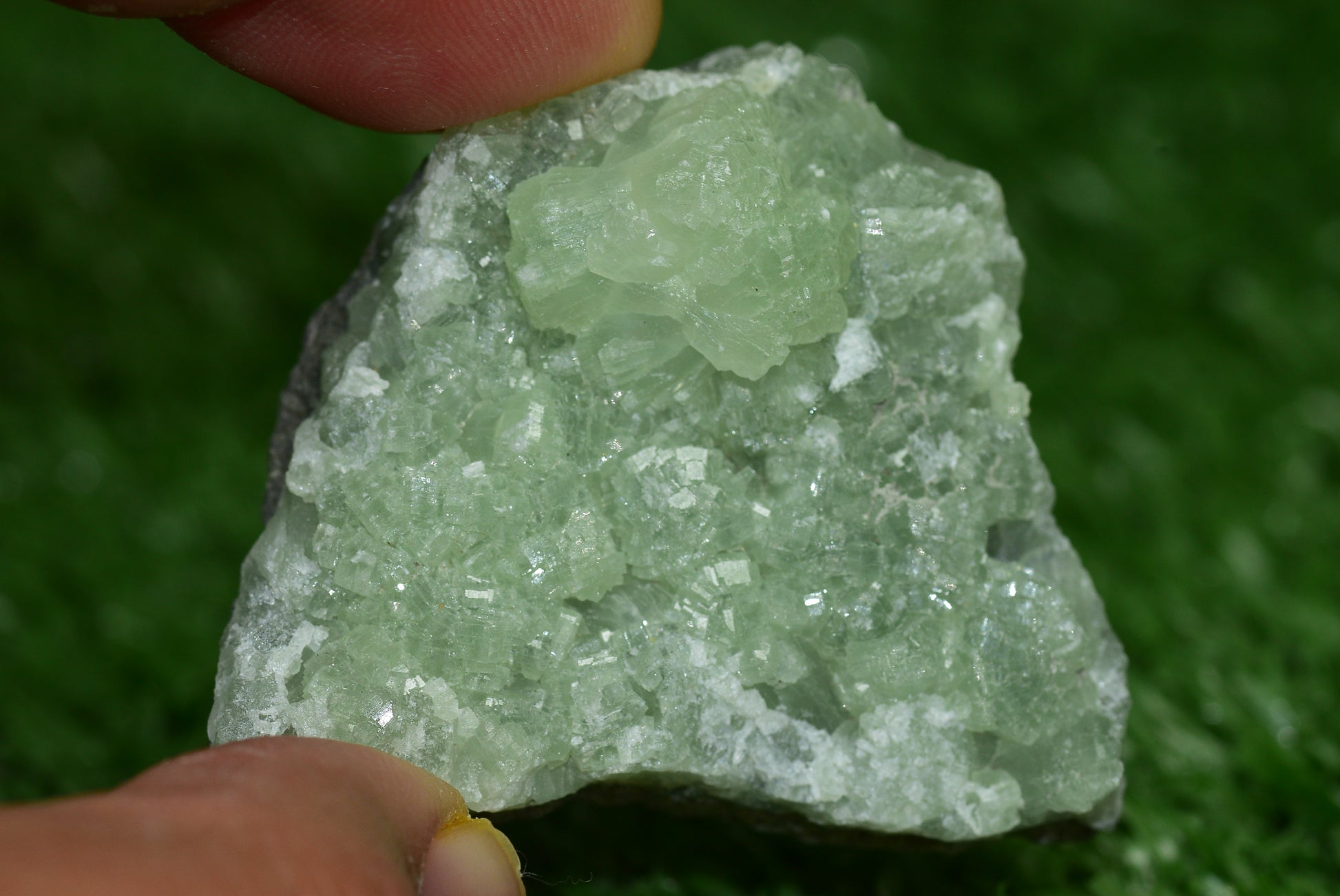 Stunning Raw Prehnite Crystal Cluster from Morocco Unique Botryoidal Formations - MeteoriteNwa.com