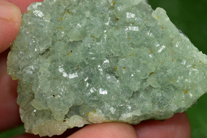 Stunning Raw Prehnite Crystal Cluster from Morocco Unique Botryoidal Formations - MeteoriteNwa.com