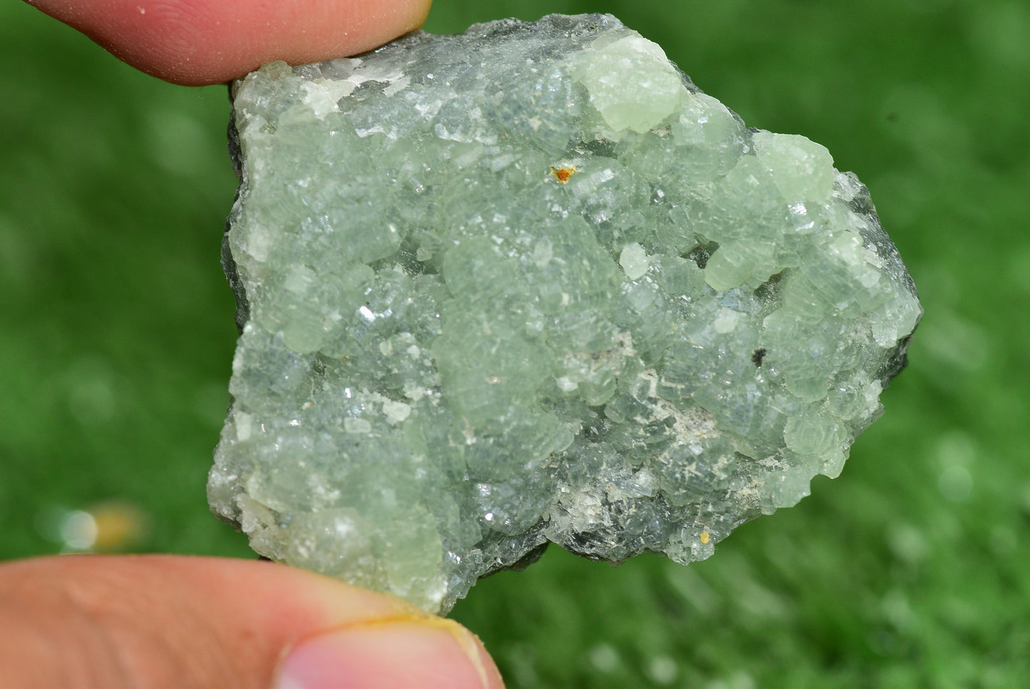 Stunning Raw Prehnite Crystal Cluster from Morocco Unique Botryoidal Formations - MeteoriteNwa.com