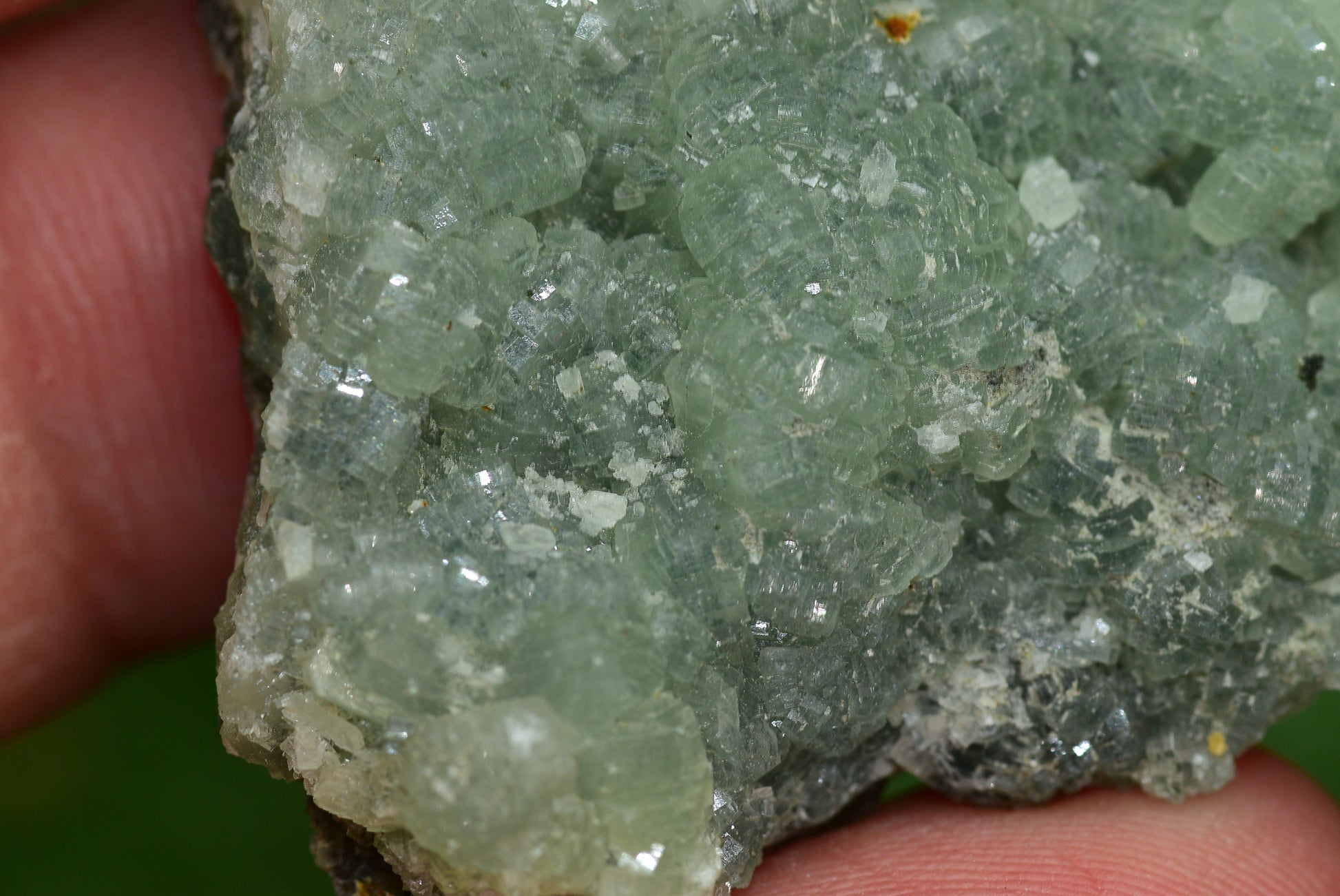 Stunning Raw Prehnite Crystal Cluster from Morocco Unique Botryoidal Formations - MeteoriteNwa.com