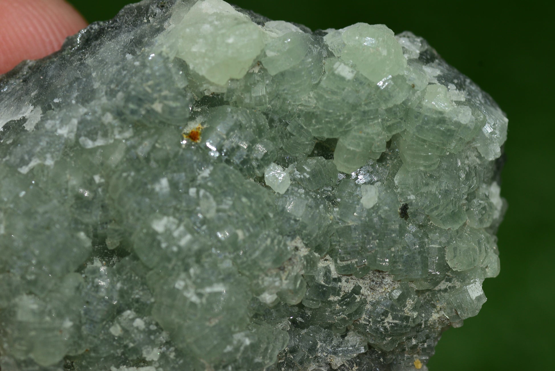 Stunning Raw Prehnite Crystal Cluster from Morocco Unique Botryoidal Formations - MeteoriteNwa.com