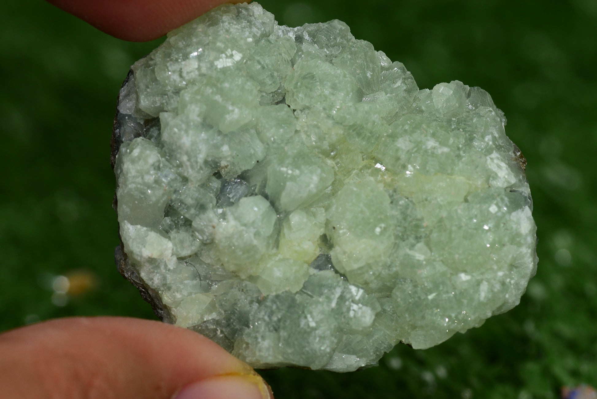Stunning Raw Prehnite Crystal Cluster from Morocco Unique Botryoidal Formations - MeteoriteNwa.com