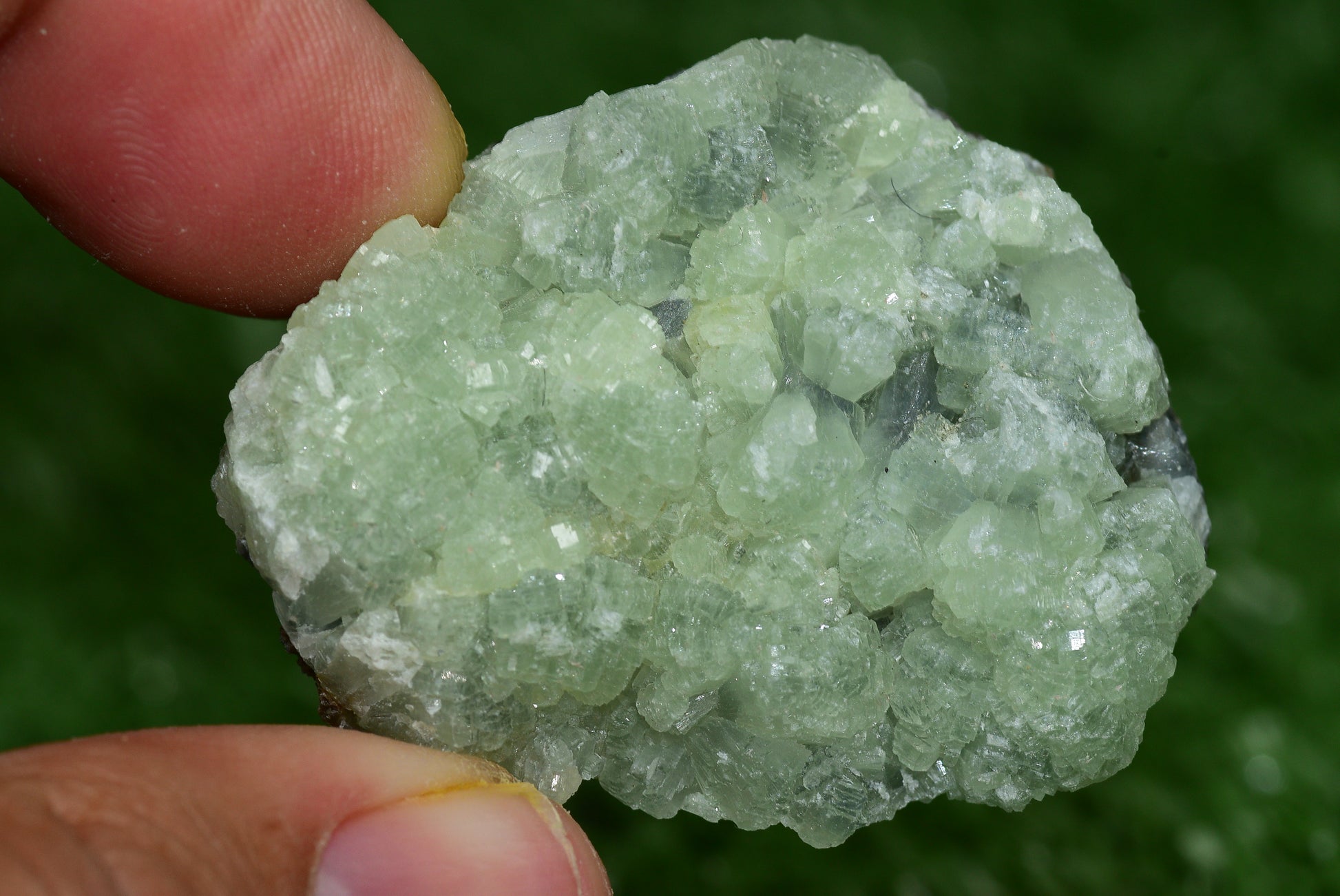Stunning Raw Prehnite Crystal Cluster from Morocco Unique Botryoidal Formations - MeteoriteNwa.com