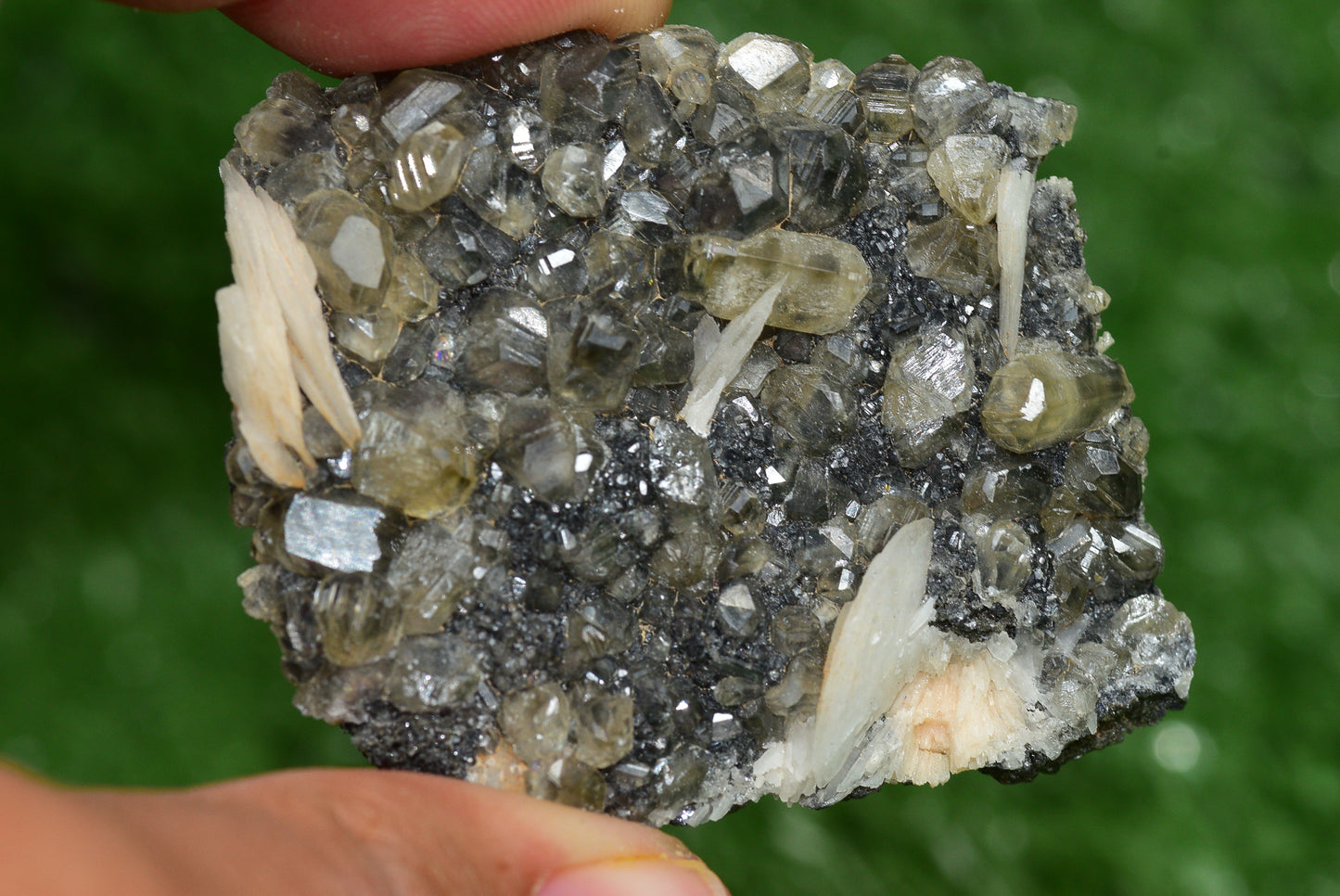 Cerussite with Barite & Dendrite Crystals on Galena RARE Genuine Gemstone from Morocco Fluorescent Mineral Powerful Spiritual Gem - MeteoriteNwa.com