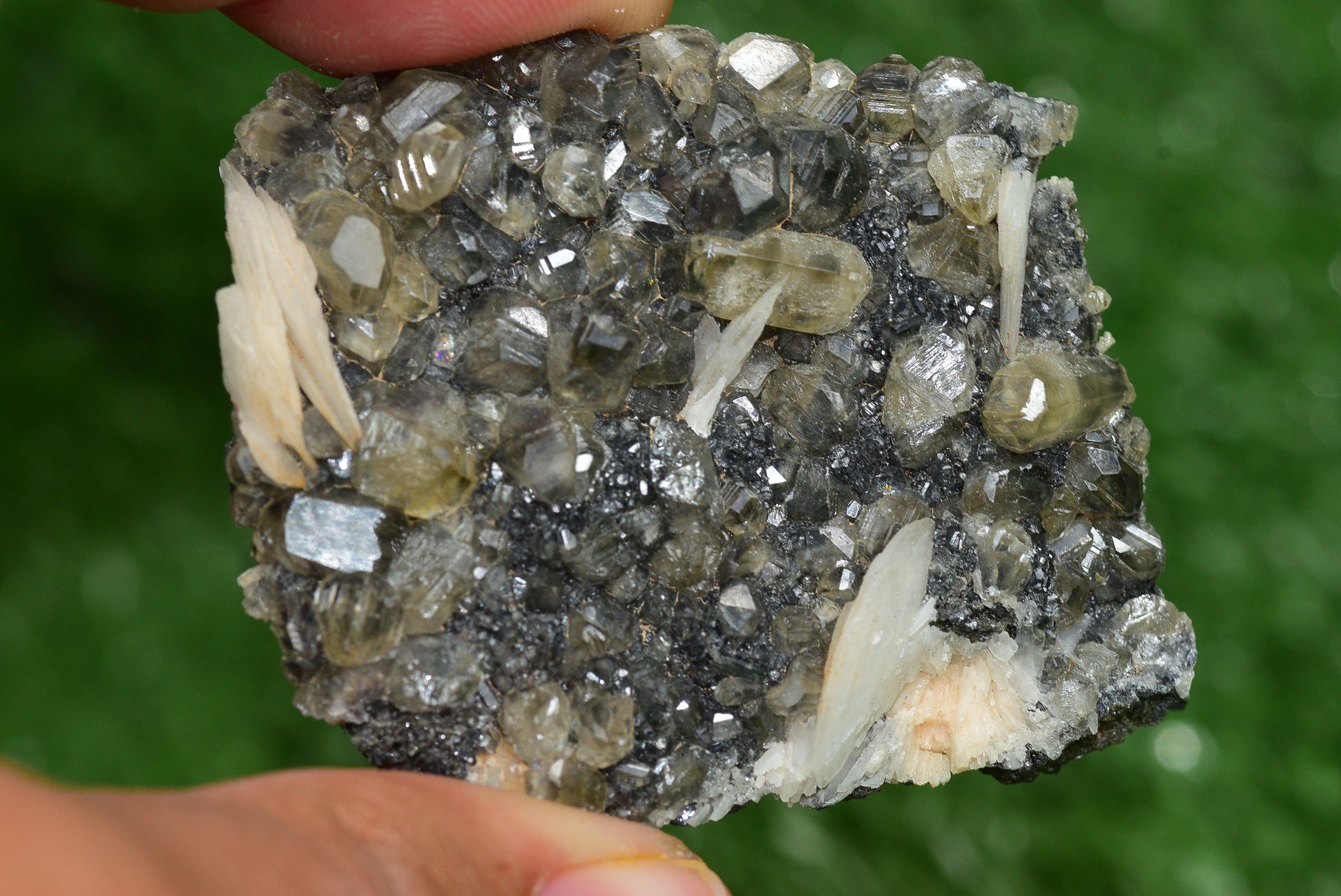 Cerussite with Barite & Dendrite Crystals on Galena RARE Genuine Gemstone from Morocco Fluorescent Mineral Powerful Spiritual Gem - MeteoriteNwa.com