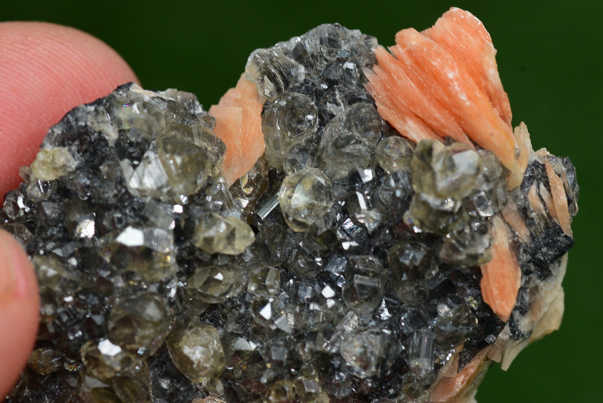 Cerussite with Barite & Dendrite Crystals on Galena RARE Genuine Gemstone from Morocco Fluorescent Mineral Powerful Spiritual Gem - MeteoriteNwa.com