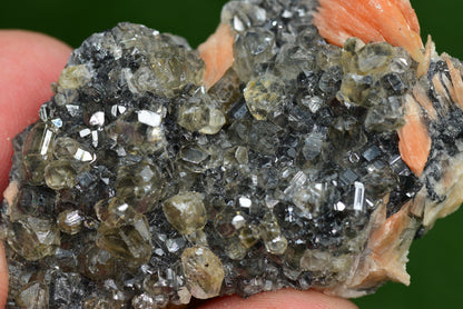 Cerussite with Barite & Dendrite Crystals on Galena RARE Genuine Gemstone from Morocco Fluorescent Mineral Powerful Spiritual Gem - MeteoriteNwa.com