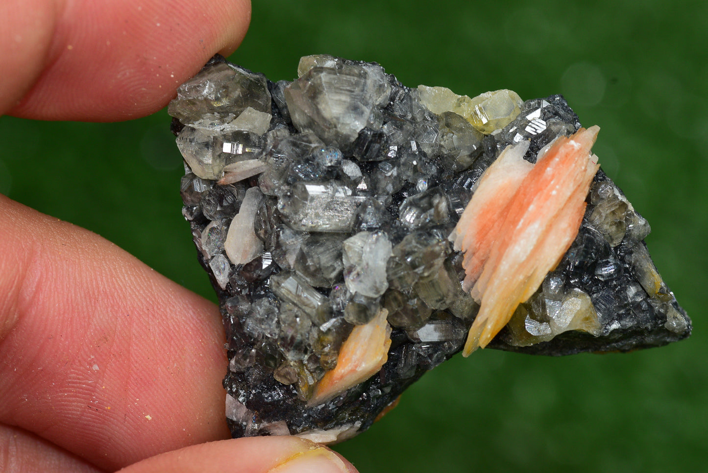 Cerussite with Barite & Dendrite Crystals on Galena RARE Genuine Gemstone from Morocco Fluorescent Mineral Powerful Spiritual Gem - MeteoriteNwa.com