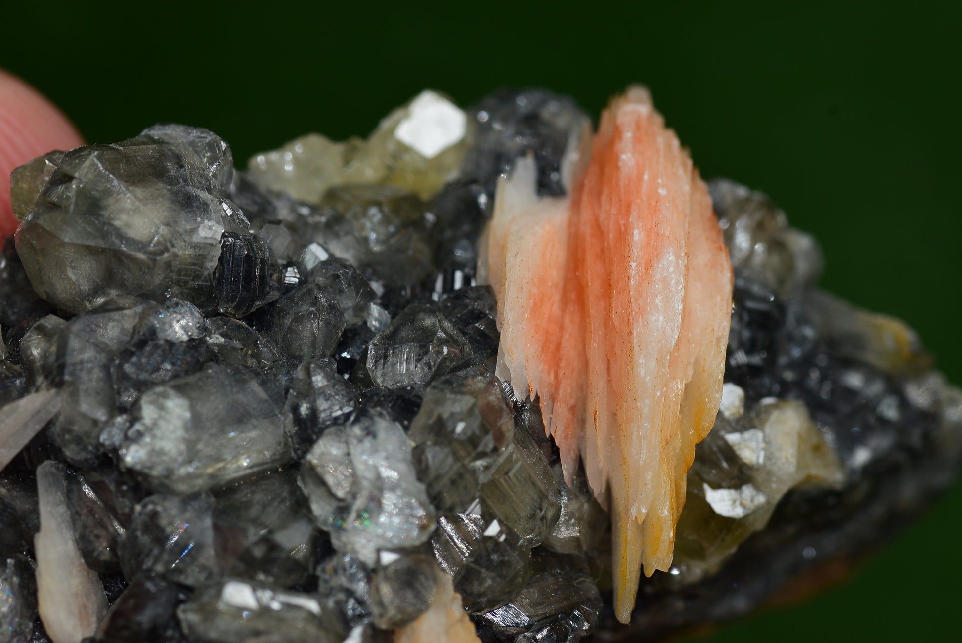 Cerussite with Barite & Dendrite Crystals on Galena RARE Genuine Gemstone from Morocco Fluorescent Mineral Powerful Spiritual Gem - MeteoriteNwa.com