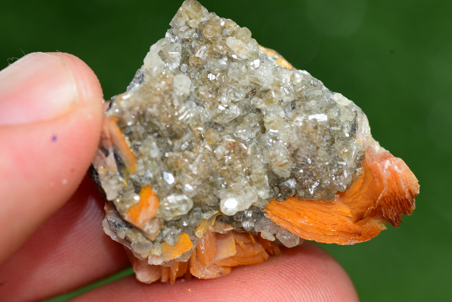 Cerussite with Barite & Dendrite Crystals on Galena RARE Genuine Gemstone from Morocco Fluorescent Mineral Powerful Spiritual Gem - MeteoriteNwa.com