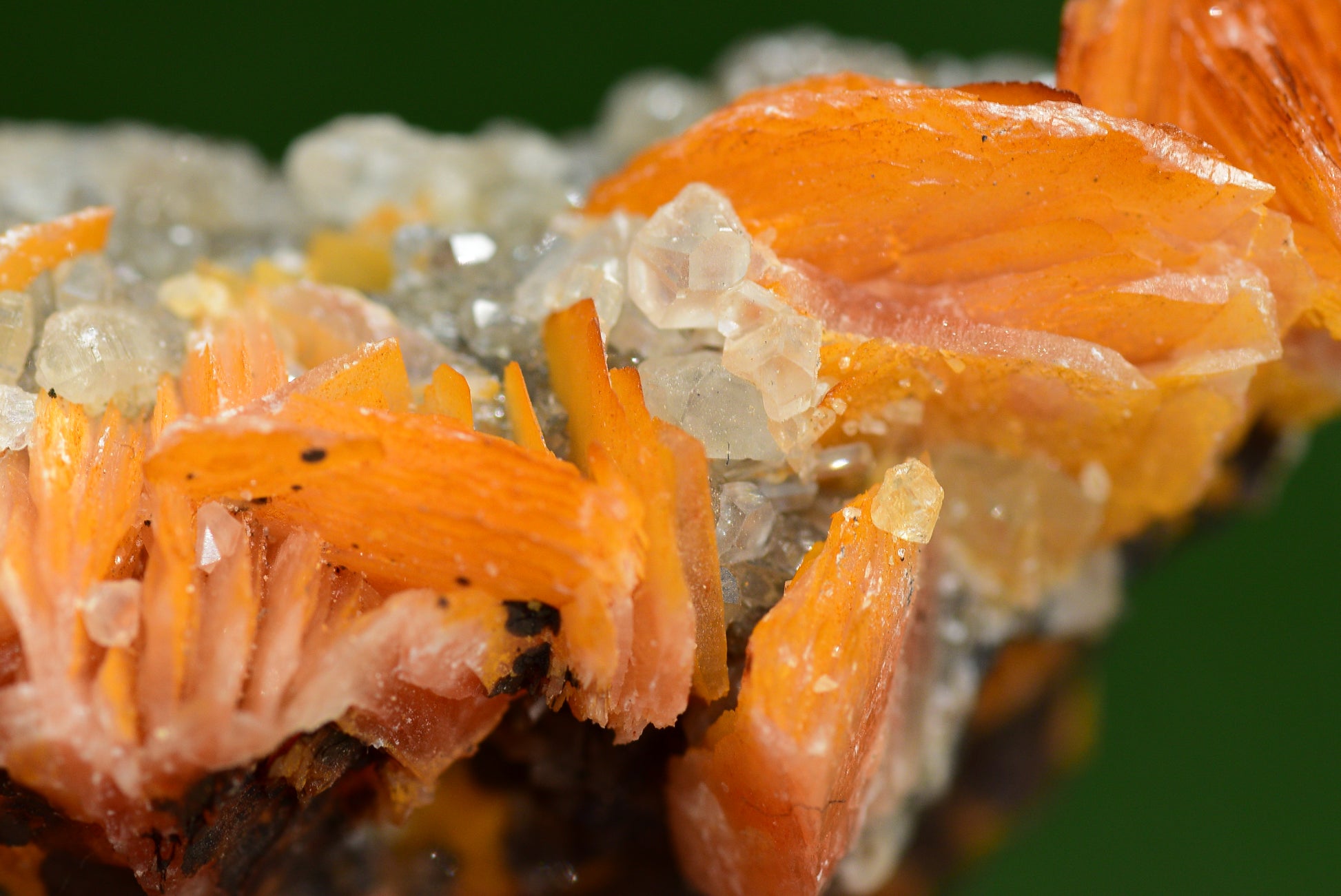 Cerussite with Barite & Dendrite Crystals on Galena RARE Genuine Gemstone from Morocco Fluorescent Mineral Powerful Spiritual Gem - MeteoriteNwa.com
