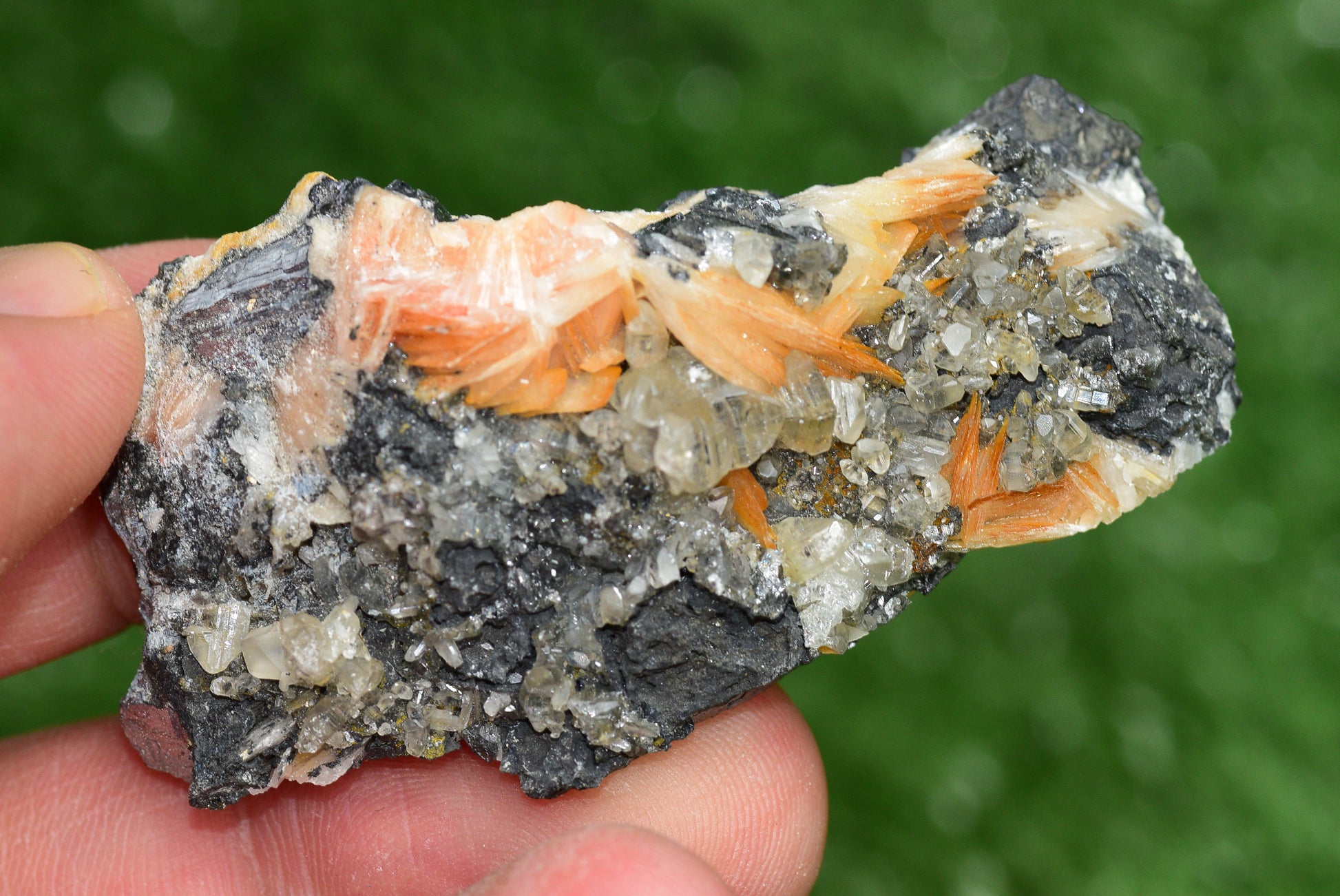 Cerussite with Barite & Dendrite Crystals on Galena RARE Genuine Gemstone from Morocco Fluorescent Mineral Powerful Spiritual Gem - MeteoriteNwa.com