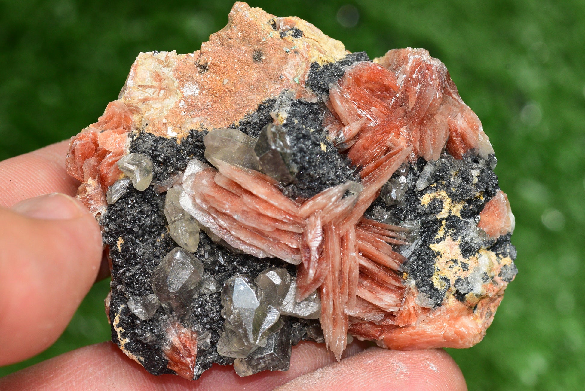 Cerussite with Barite & Dendrite Crystals on Galena RARE Genuine Gemstone from Morocco Fluorescent Mineral Powerful Spiritual Gem - MeteoriteNwa.com
