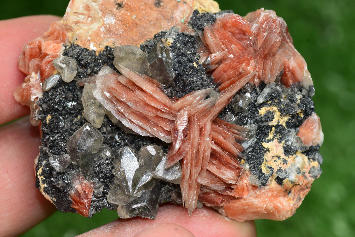 Cerussite with Barite & Dendrite Crystals on Galena RARE Genuine Gemstone from Morocco Fluorescent Mineral Powerful Spiritual Gem - MeteoriteNwa.com