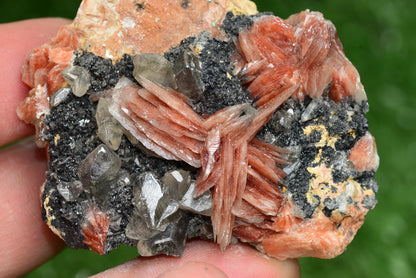Cerussite with Barite & Dendrite Crystals on Galena RARE Genuine Gemstone from Morocco Fluorescent Mineral Powerful Spiritual Gem - MeteoriteNwa.com