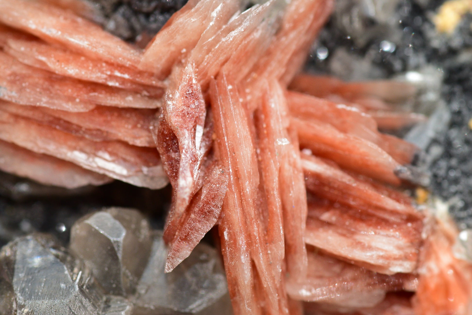 Cerussite with Barite & Dendrite Crystals on Galena RARE Genuine Gemstone from Morocco Fluorescent Mineral Powerful Spiritual Gem - MeteoriteNwa.com