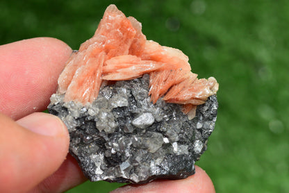 Cerussite with Barite & Dendrite Crystals on Galena RARE Genuine Gemstone from Morocco Fluorescent Mineral Powerful Spiritual Gem - MeteoriteNwa.com