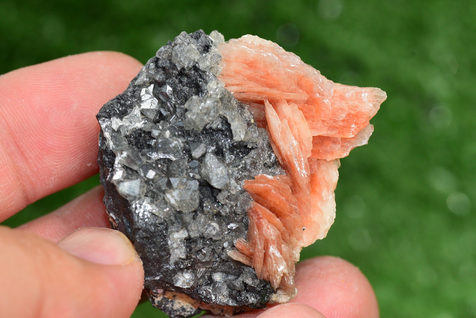 Cerussite with Barite & Dendrite Crystals on Galena RARE Genuine Gemstone from Morocco Fluorescent Mineral Powerful Spiritual Gem - MeteoriteNwa.com