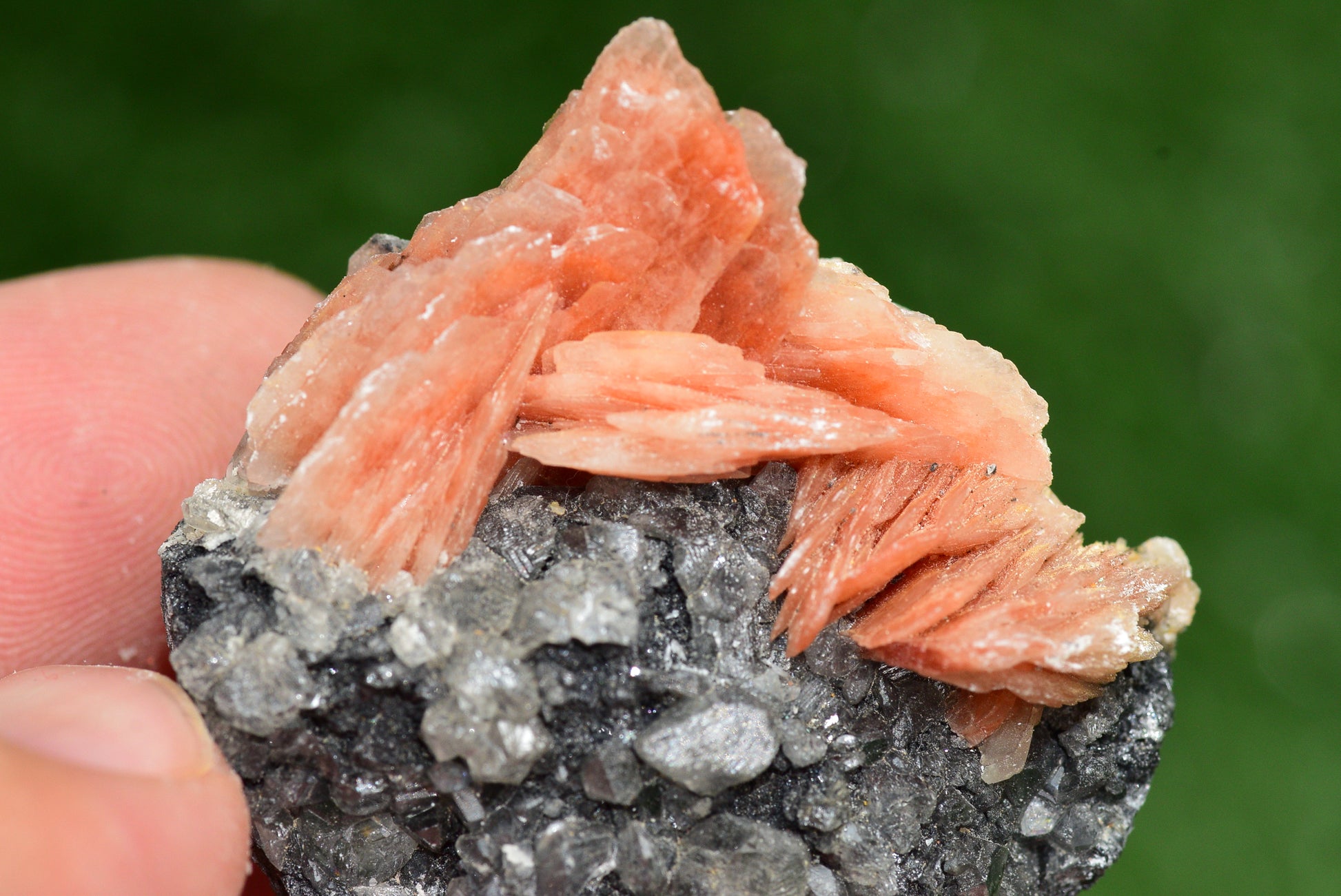 Cerussite with Barite & Dendrite Crystals on Galena RARE Genuine Gemstone from Morocco Fluorescent Mineral Powerful Spiritual Gem - MeteoriteNwa.com