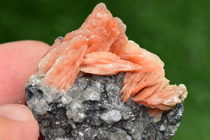 Cerussite with Barite & Dendrite Crystals on Galena RARE Genuine Gemstone from Morocco Fluorescent Mineral Powerful Spiritual Gem - MeteoriteNwa.com