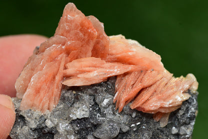 Cerussite with Barite & Dendrite Crystals on Galena RARE Genuine Gemstone from Morocco Fluorescent Mineral Powerful Spiritual Gem - MeteoriteNwa.com