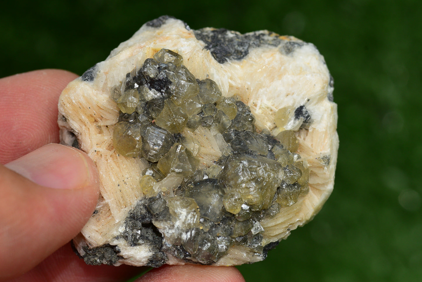 Cerussite with Barite & Dendrite Crystals on Galena RARE Genuine Gemstone from Morocco Fluorescent Mineral Powerful Spiritual Gem - MeteoriteNwa.com