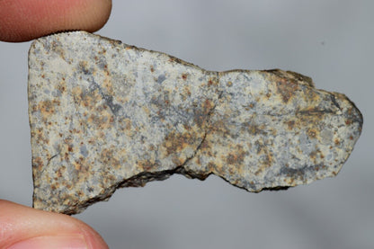 Meteorite Chondrite LL6 NWA 14225 Slice 7.11G with black shock melt veins. W COA - MeteoriteNwa.com