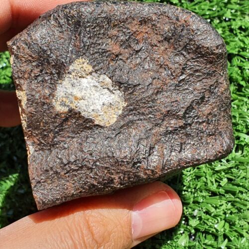 Meteorite Eucrite unbrecciated coarse-grained basalt NWA 15417 Crusted 298.9 G - MeteoriteNwa.com