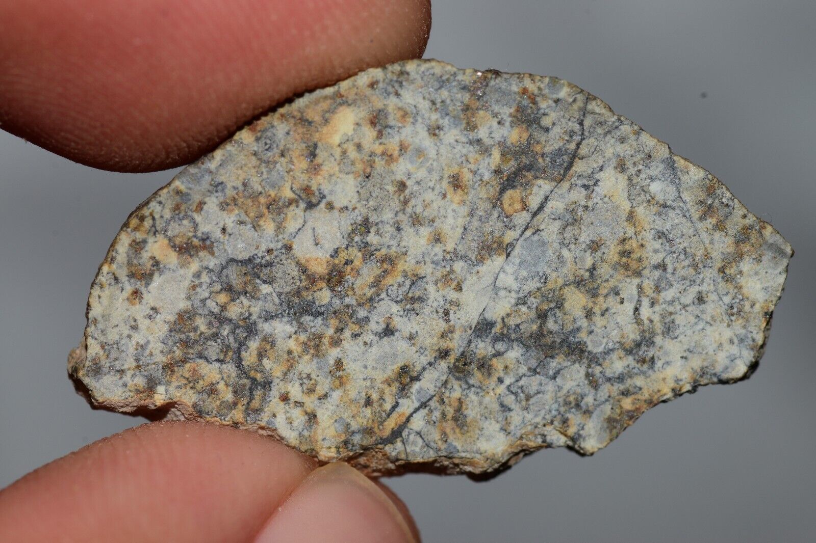 Meteorite Chondrite LL6 NWA 14225 Slice 3.51G with black shock melt veins. W COA - MeteoriteNwa.com