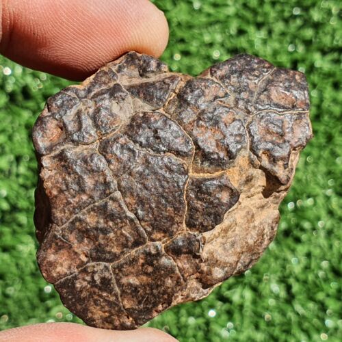 Meteorite Chondrite LL7 NWA 15408 Main Mass 60.6G Brownish rock - MeteoriteNwa.com