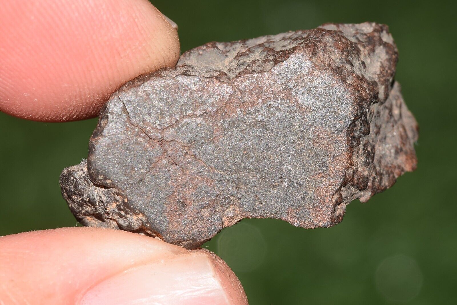 Meteorite chondrite Brownish L6 Nwa 15406 Endcut 10.5 g - MeteoriteNwa.com
