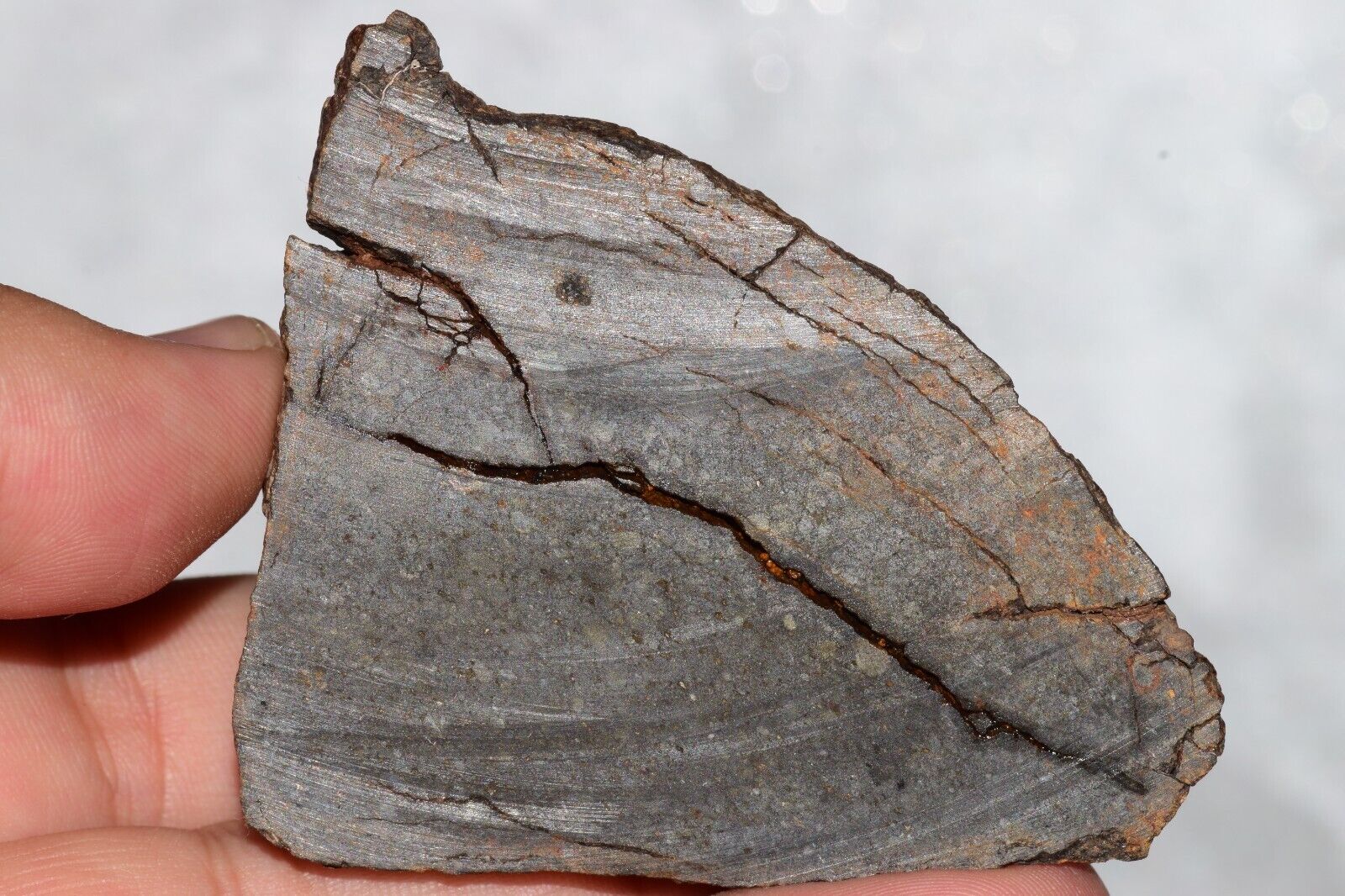 Meteorite Chondrite LL3 NWA 14224 Slice 89.2G with fine-grained dark gray matrix - MeteoriteNwa.com