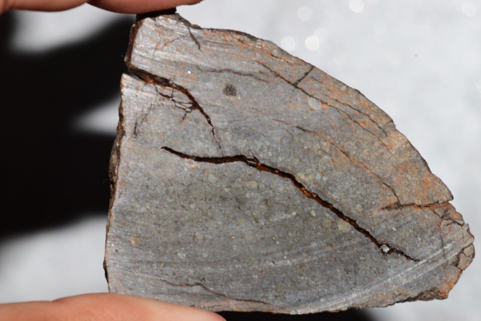 Meteorite Chondrite LL3 NWA 14224 Slice 89.2G with fine-grained dark gray matrix - MeteoriteNwa.com