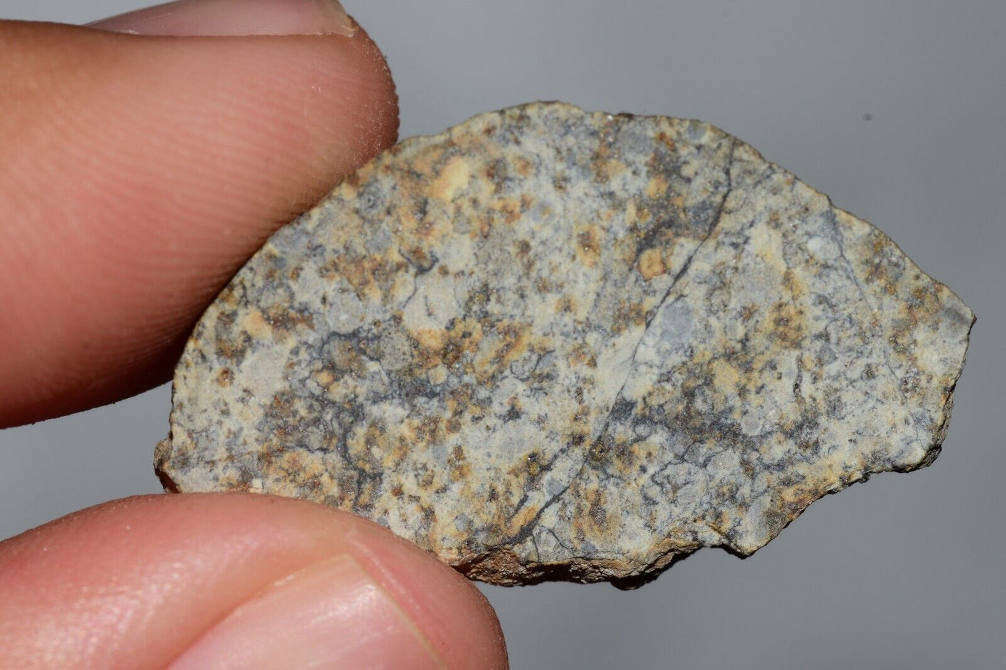 Meteorite Chondrite LL6 NWA 14225 Slice 3.51G with black shock melt veins. W COA - MeteoriteNwa.com