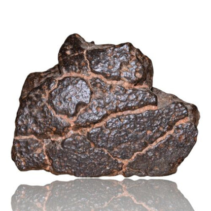 Meteorite CR2 Carbonaceous chondrite Rare NWA 14870 main mass 111.4 G Fragment! - MeteoriteNwa.com