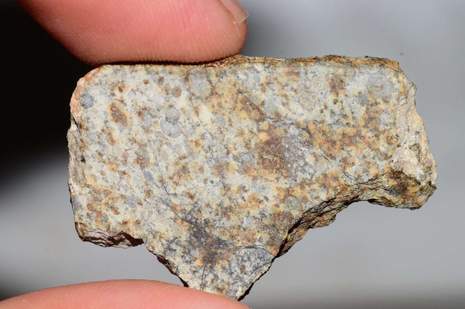 Meteorite Chondrite LL6 NWA 14225 Slice 7.14G with black shock melt veins. W COA - MeteoriteNwa.com