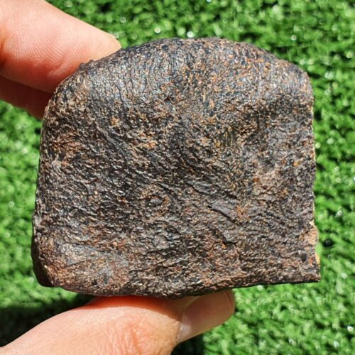 Meteorite Eucrite unbrecciated coarse-grained basalt NWA 15417 Crusted 298.9 G - MeteoriteNwa.com
