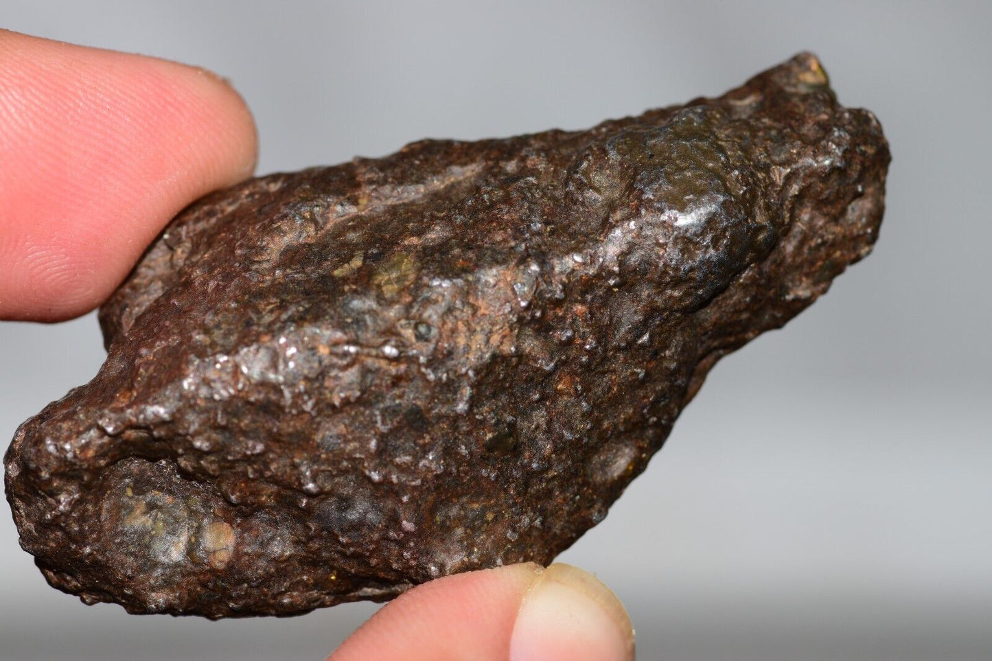 Meteorite Mesosiderite stony Iron NWA 14226 full fragment 42.9 grams WIth COA - MeteoriteNwa.com