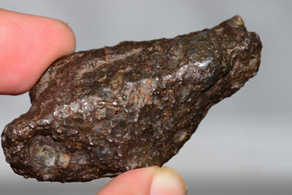 Meteorite Mesosiderite stony Iron NWA 14226 full fragment 42.9 grams WIth COA - MeteoriteNwa.com