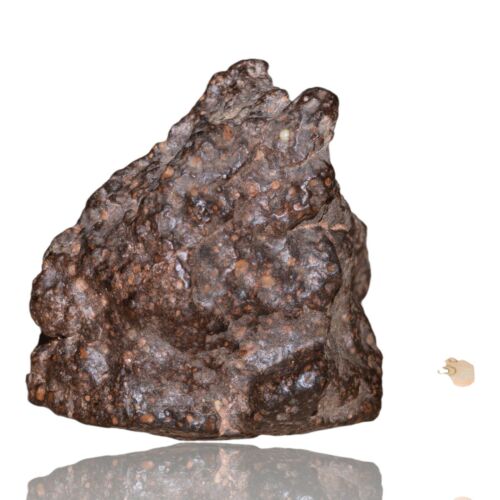 Meteorite CR2 Carbonaceous chondrite Rare NWA 14870 main mass 111.4 G Fragment! - MeteoriteNwa.com